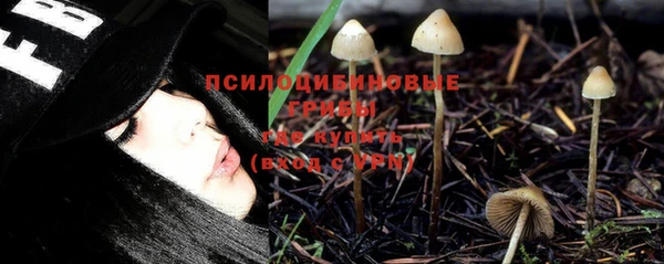 шишки Волосово