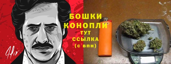 шишки Волосово