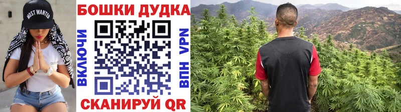 Бошки марихуана конопля Отрадный